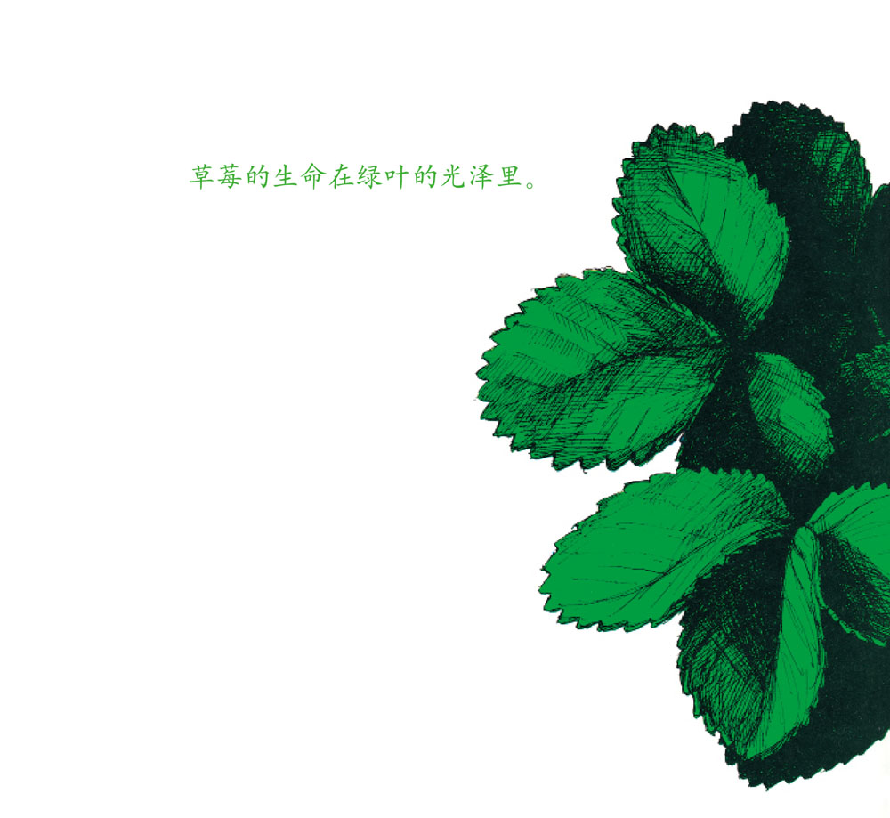 草莓 (06),绘本,绘本故事,绘本阅读,故事书,童书,图画书,课外阅读